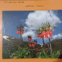 کتاب|کتاب و مجله ادبی|گرگان, |دیوار