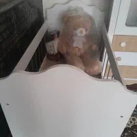 تخت کودک