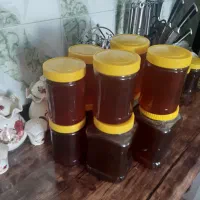 عسل کوه قارون
