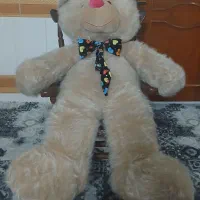 عروسک بزرگ ۲۵۰۰