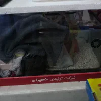 اکواریوم شرکتی ماهیران