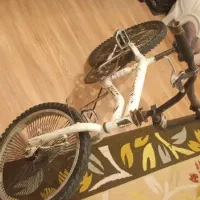دوچرخه 20 حرفه ای