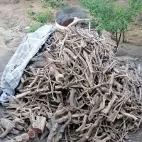 خرید چوب انار و پسته کیلو9ت