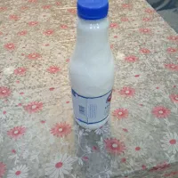 فروش شیرالاغ