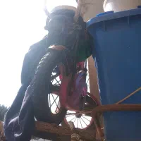 فروش دوچرخه دخترانه سالم ۵تا ۸ساله محکم. وتمیز