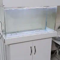 آکواریوم پایه دار 80*30 شیشه خم در حد نو