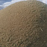 بذر یونجه آمریکایی رنجر اصل سال تولید 1405