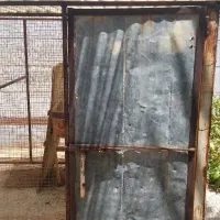 قفس مرغ و خروس