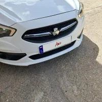 شاهین خانگی کم کار