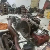 آمیکو