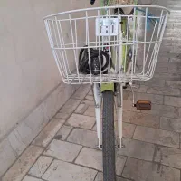 دوچرخه تایوان اصل