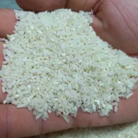 نیم دانه هاشمی تازه