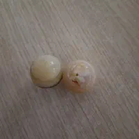 مهره سلیمانی برای رزق و روزی