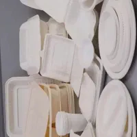 ظروف یکبار مصرف