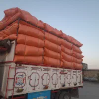 کاه دیم خوشه ای درجه یک