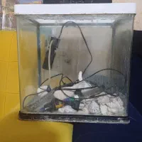 اکواریوم