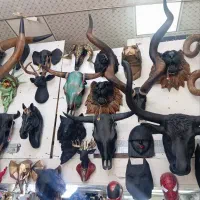 دیوارکوب و سردیس در تنوع بالا