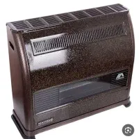 بخاری گازی آدنیس