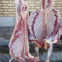 ذبح وقصابی دام پذیرفته میشود