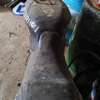 سوزوکی ۲۵۰|موتورسیکلت|میلاجرد, |دیوار