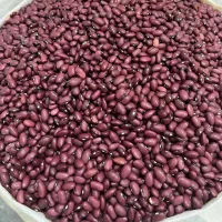 لوبیا قرمز دستچین