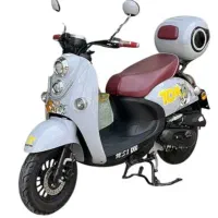 موتور کویر ms1 50 تام و جری