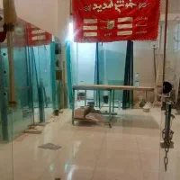 انواع شیشه هایه ساده رفلکس مشجر اینه