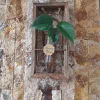 تابلوسه بعدی طبیعی