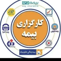 بهت یاد میدم درآمد بیمه ای بالا ببرید