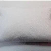 بالشت پر