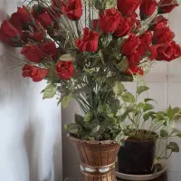 گلدان های شیک با گل ،ساک جنس برزنت با چرخ محکم