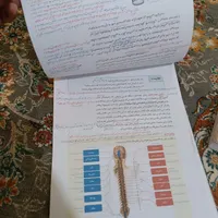 زیست شناسی جامع خیلی سبز+جزوه رایگان زیست یازدهم|کتاب و مجله آموزشی|ماکو, |دیوار