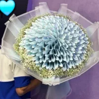 گل ارایی،گل ربانی