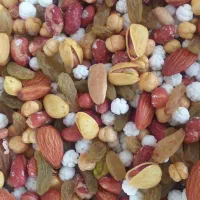 آجیل کدومغز گردو مشکل گشا  آلو خورشتی