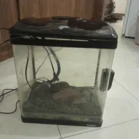 آکواریوم|ماهی|تهران, فاطمی|دیوار