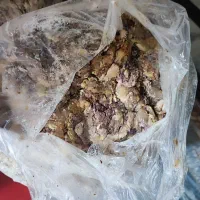 اشغال گوشت.خرده گوشت پخته شده.مخصوص سگ