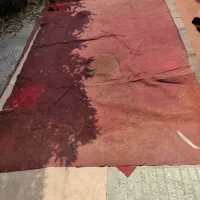 موکت|موکت|گرگان, |دیوار
