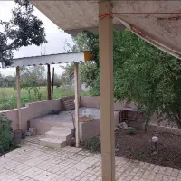 روزانه مستقل