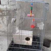 قفس بزرگ مخصوص پرنده