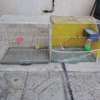 قفس پرنده