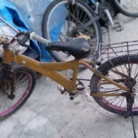 دوعدد دوچرخه