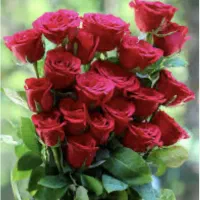 استخدام فروشنده