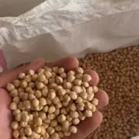 فروش نخود کرمانشاه