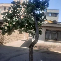 شهرک مرتضی گرد اجاره واحد تخلیه ،قابل تبدیل