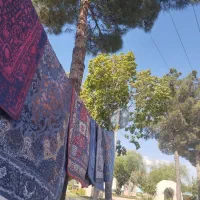 قالیچه