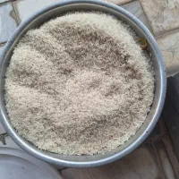 فوش برنج هاشمی