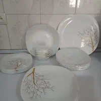 سرویس ۱۲ نفره آکروپال