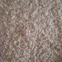 برنج|خوردنی و آشامیدنی|یاسوج, |دیوار