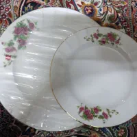 پلو خوری و میوه خوری