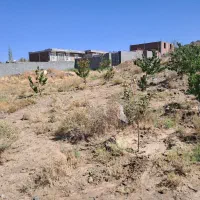 زمین ساردوئیه